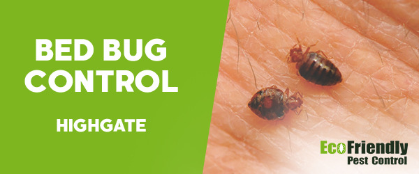 Bed Bug Control  Highgate 