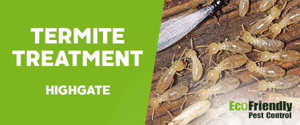 Termite Control  Highgate 