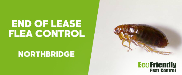 End of Lease Flea Control  Northbridge 