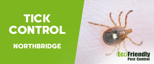 Ticks Control  Northbridge 