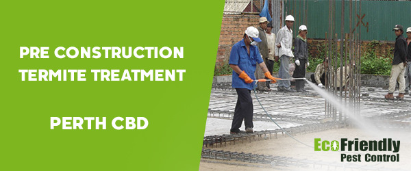 Pre Construction Termite Treatment  Perth Cbd 