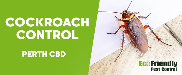 Cockroach Control  Perth Cbd  