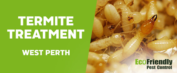 Termite Control  West Perth 