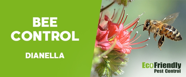 Pest Control Dianella