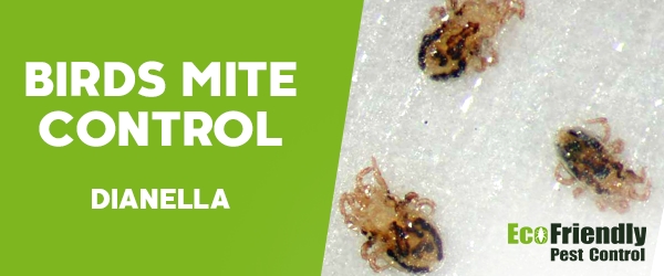 Pest Control Dianella