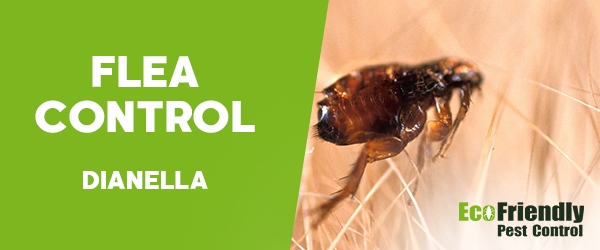 Pest Control Dianella