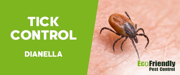 Pest Control Dianella