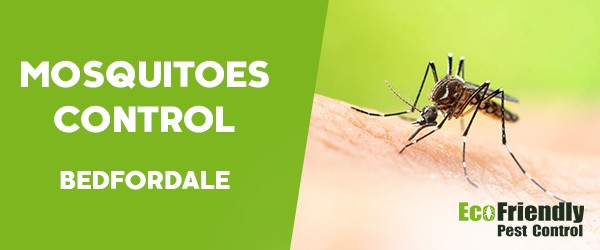 Mosquitoes Control  Bedfordale 