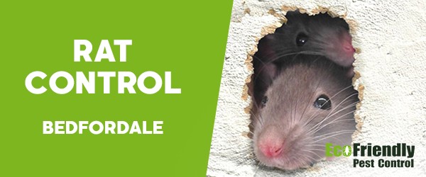 Rat Pest Control  Bedfordale 