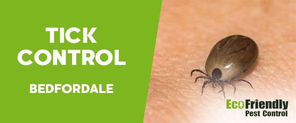 Ticks Control  Bedfordale 