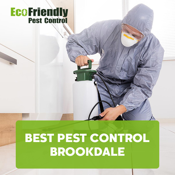 Best Pest Control  Brookdale 