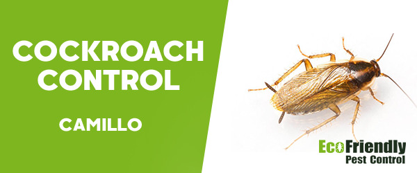 Cockroach Control  Camillo  