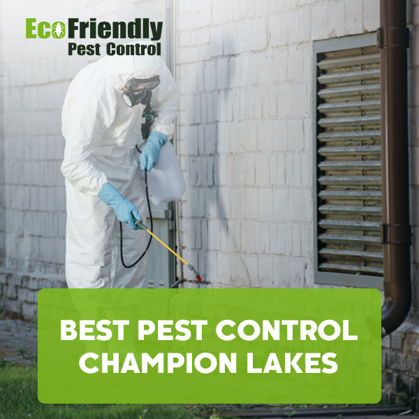 Best Pest Control Champion Lakes