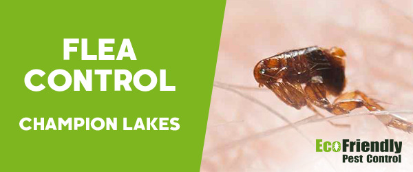 Fleas Control Champion Lakes 