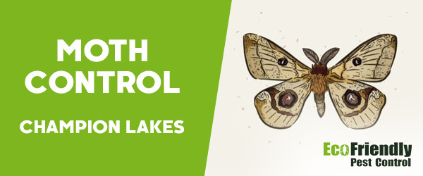 Moth Control Champion Lakes