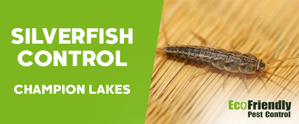 Silverfish Control Champion Lakes