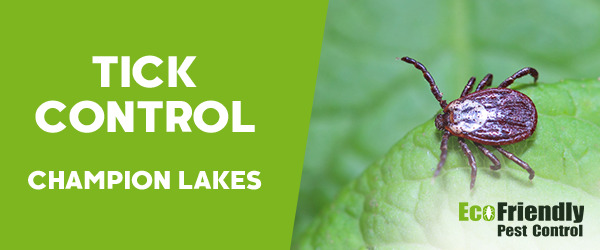 Ticks Control Champion Lakes