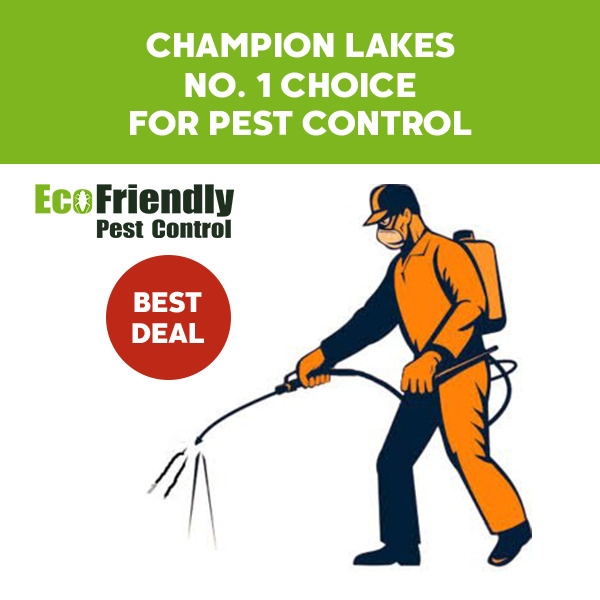 Pest Control Champion Lakes