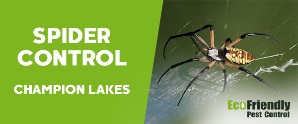 Spider Control Champion Lakes