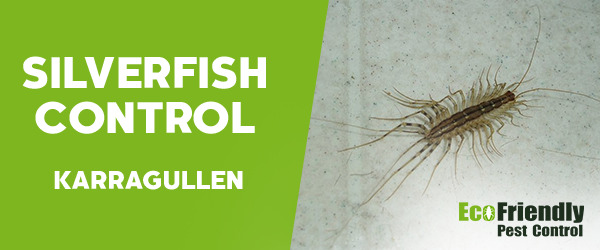 Silverfish Control Karragullen