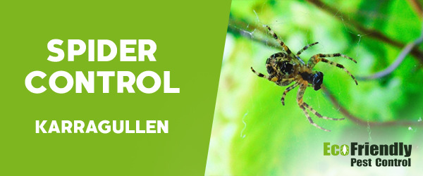 Spider Control Karragullen