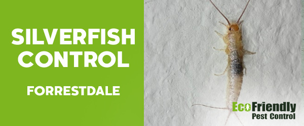 Silverfish Control  Forrestdale 