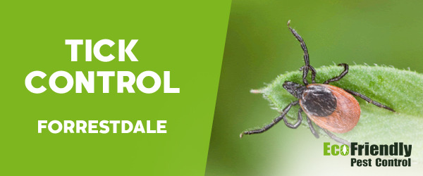 Ticks Control  Forrestdale 