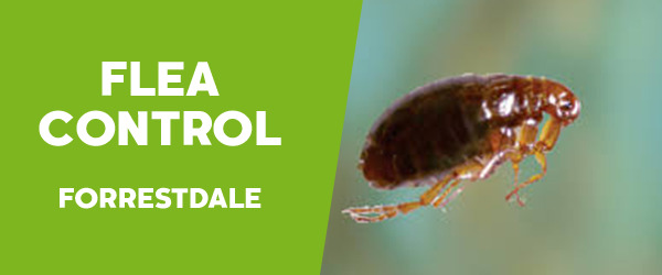 Fleas Control  Forrestdale 