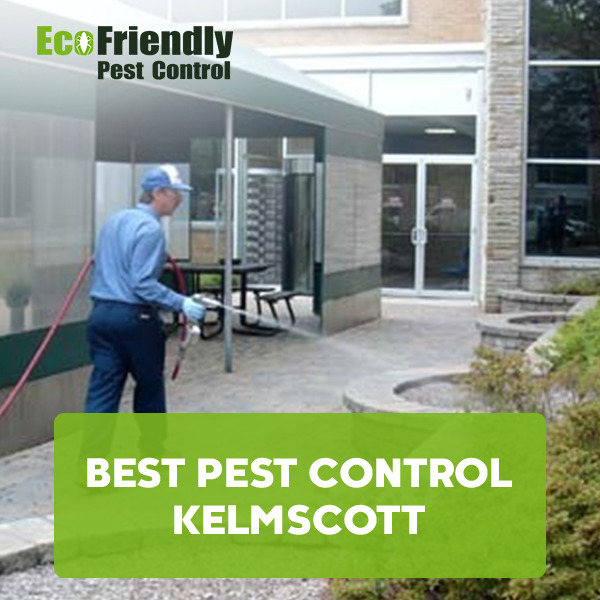 Best Pest Control  Kelmscott 