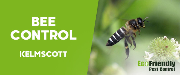 Bee Control  Kelmscott 