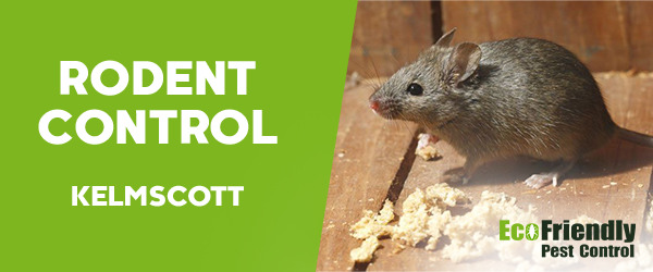 Rodent Treatment  Kelmscott 