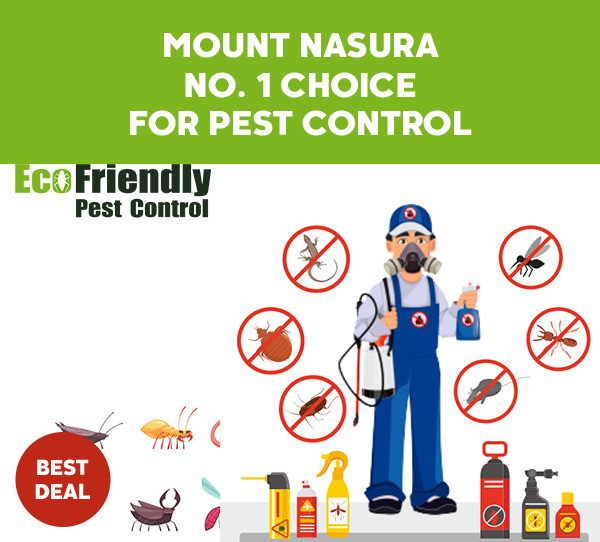 Pest Control Mount Nasura