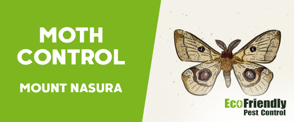 Moth Control Mount Nasura