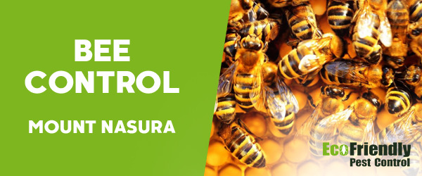 Bee Control Mount Nasura