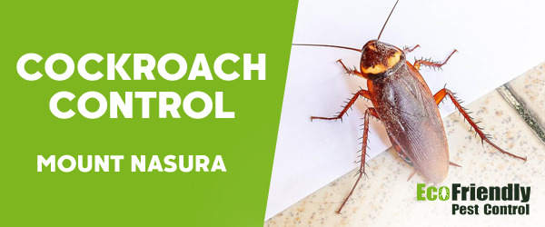 Cockroach Control Mount Nasura