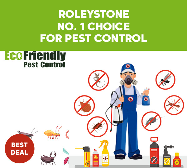 Pest Control Roleystone