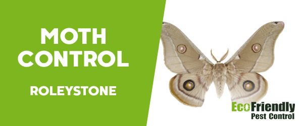 Moth Control  Roleystone 