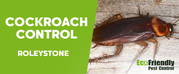 Cockroach Control  Roleystone  