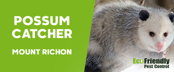 Possum Catcher Mount Richon