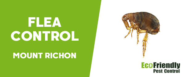 Fleas Control Mount Richon