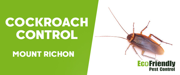 Cockroach Control Mount Richon