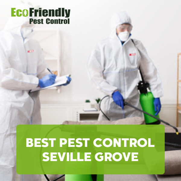 Best Pest Control  Seville Grove 