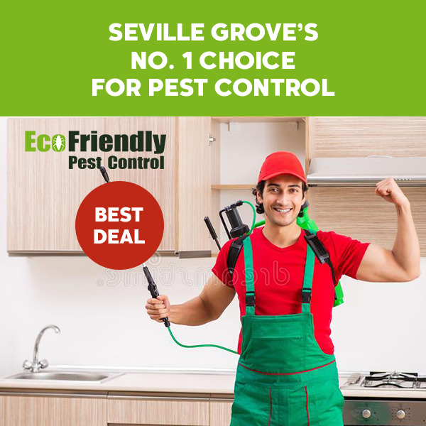 Pest Control Seville Grove