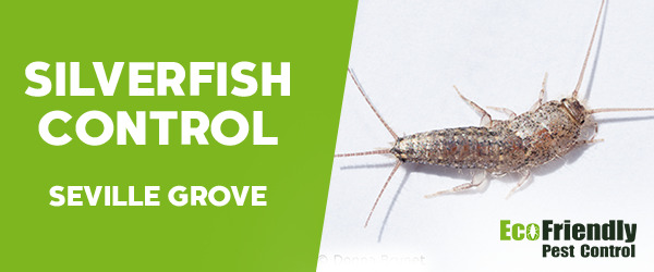 Silverfish Control  Seville Grove 