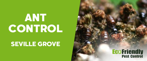 Ant Control  Seville Grove 