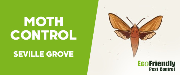 Moth Control  Seville Grove 