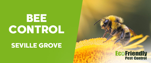 Bee Control  Seville Grove 