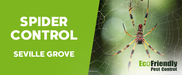 Spider Control  Seville Grove 