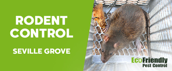 Rodent Treatment  Seville Grove 