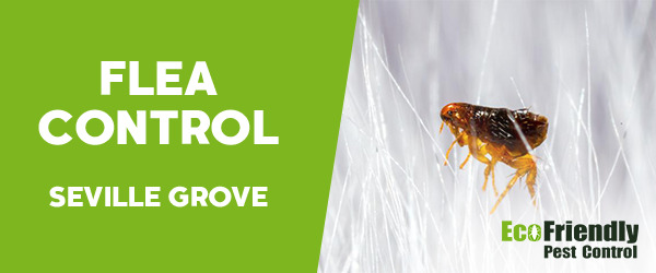 Fleas Control  Seville Grove 